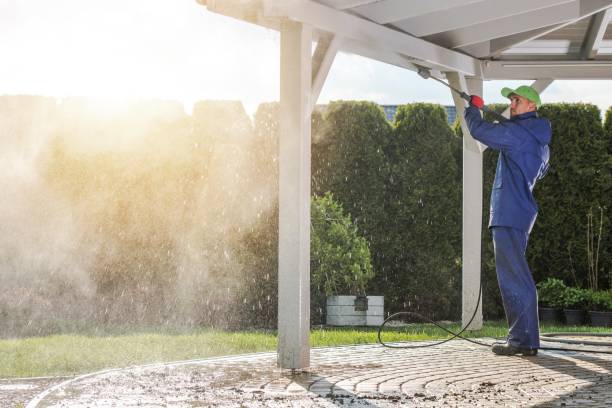 Best Patio and Deck Pressure Washing  in Eustis, FL